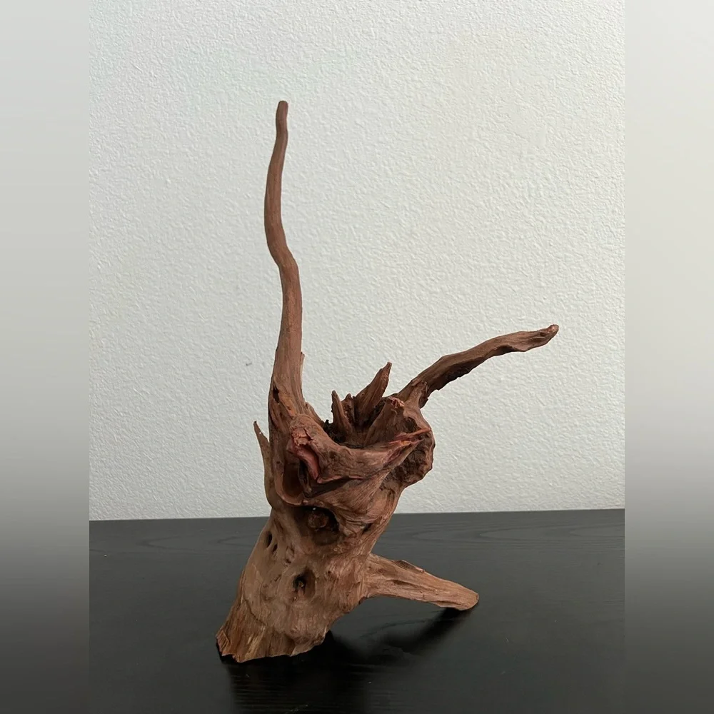 Natural Driftwood Sculpture